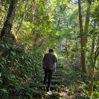 登山道はところどころに綺麗に整備された階段があります😊