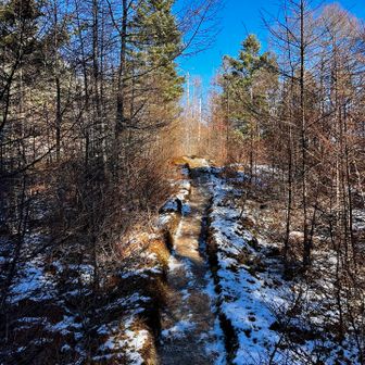 七面山山頂を過ぎたあたりが1番雪がありました😆チェーンスパイクは念の為持参しましたが出番はなし⛓️