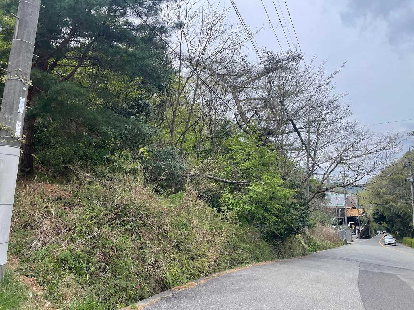 左側の電信柱から出て来た。
いらん事せずに道路を歩いたら良かったかも。
ここまで誰にも会わず。