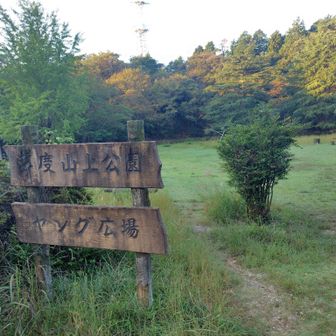 ヤング広場の緑が綺麗でした