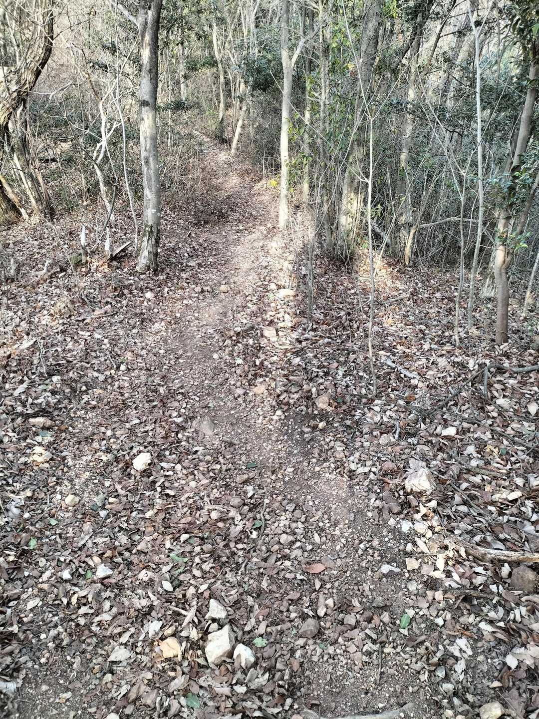 何処もそうだがザレてて下りは注意