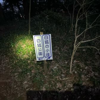 少しウロウロします
完全に不審者です