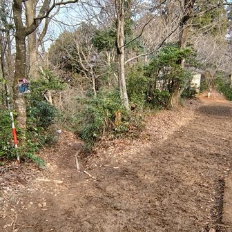 帰りは左のルートへ。