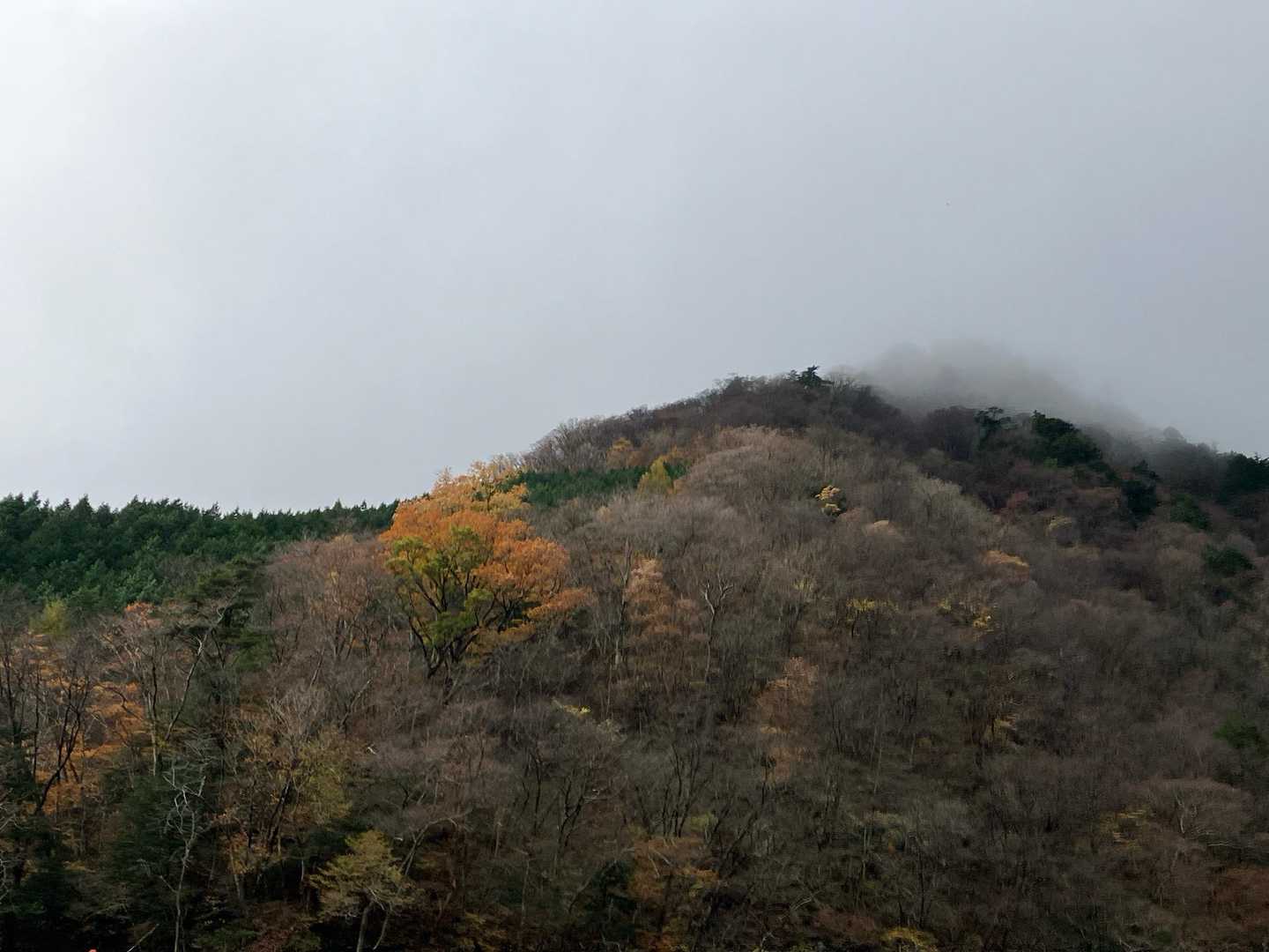 山頂はガスってますね。