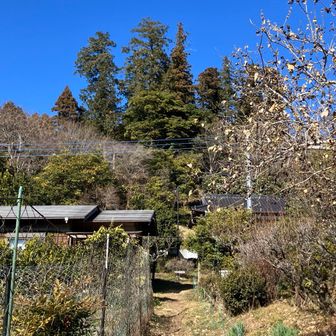 ユガテにて、降りてきた方を振り返る。ぱっと見、登山道があるとは思えない