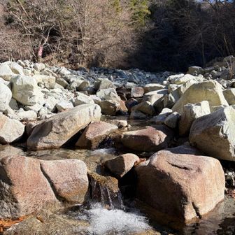 おお〜真っ白な岩や石がゴロゴロ！(東沢)
昔　サンゴだったんだね〜