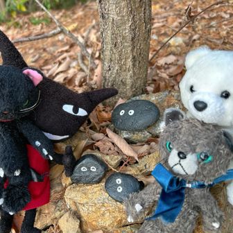 向山で900座お祝いありがと山！