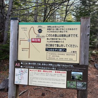 レベル1のため
進みます。