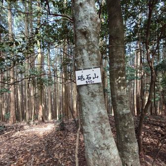 7座目とうちゃこ