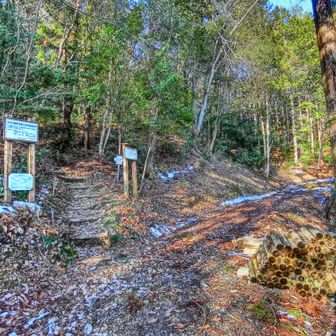 車道へ出ました
階段を整備する資材が置いてありました
ここから資材を担ぎ上げて上り下りしたのですね。