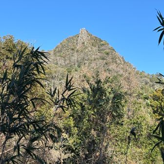 なんちゃってクライマーの血が騒ぐ山容⛰️