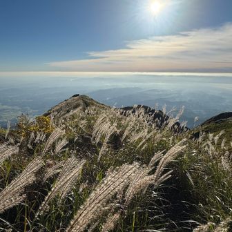 最高🙌の景色🌾