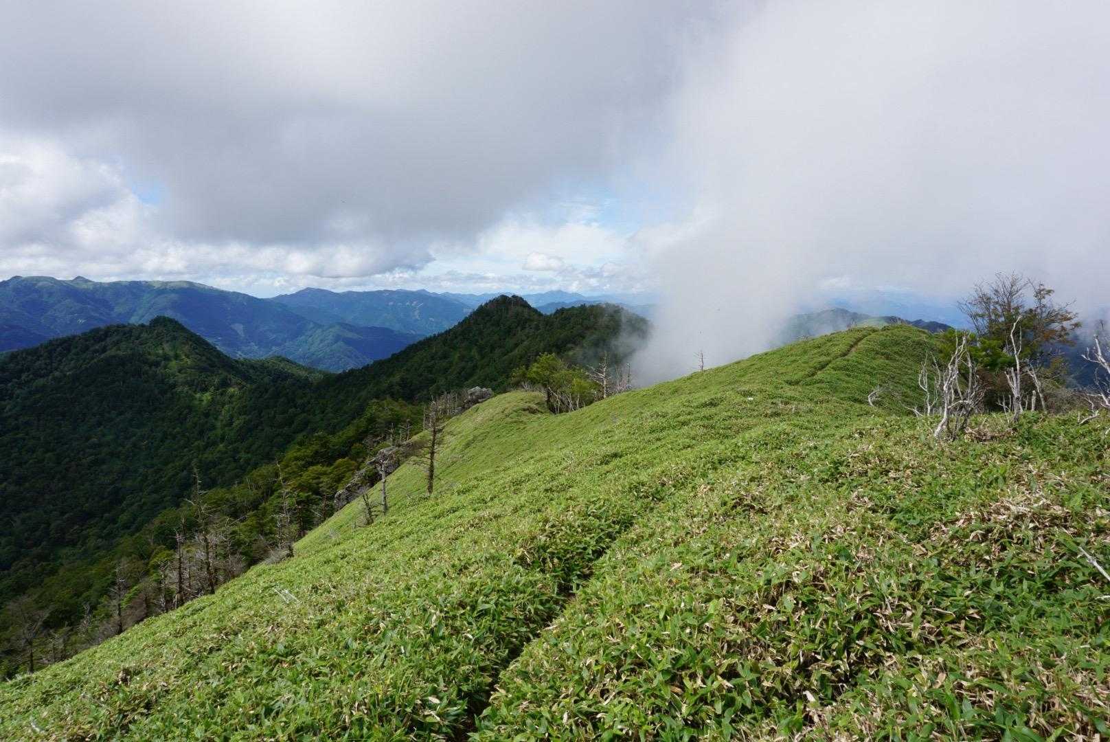 落合峠-矢筈山 往復コースの写真