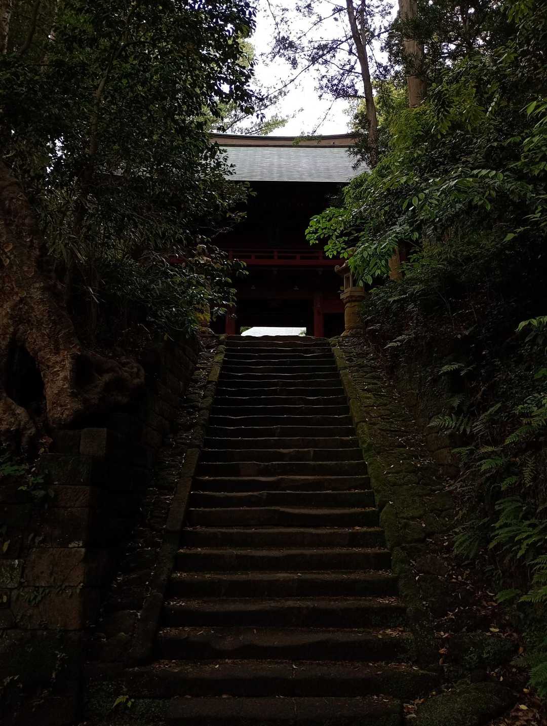 東逗子駅-神武寺鷹取山登山口-神武寺薬師堂-鷹取山 往復コースの写真