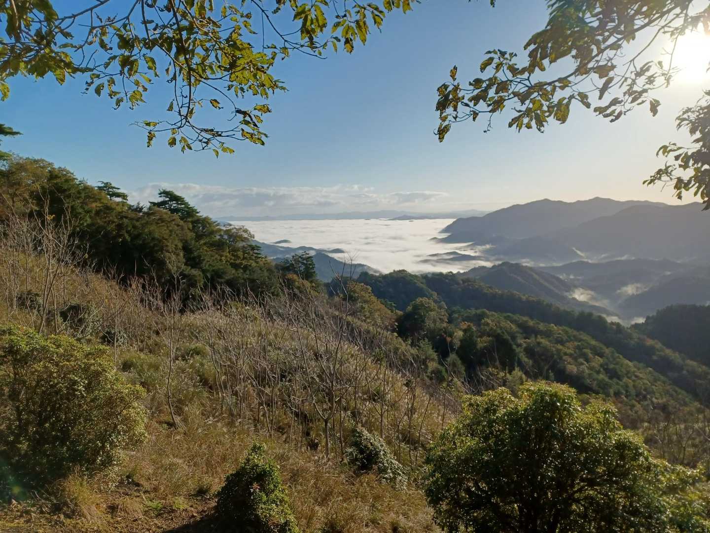 ゲート-東屋-烏帽子山-梨木峠 周回コースの写真