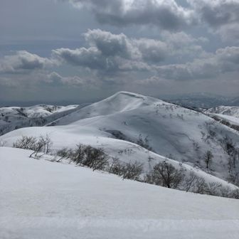中金剛 振り返り