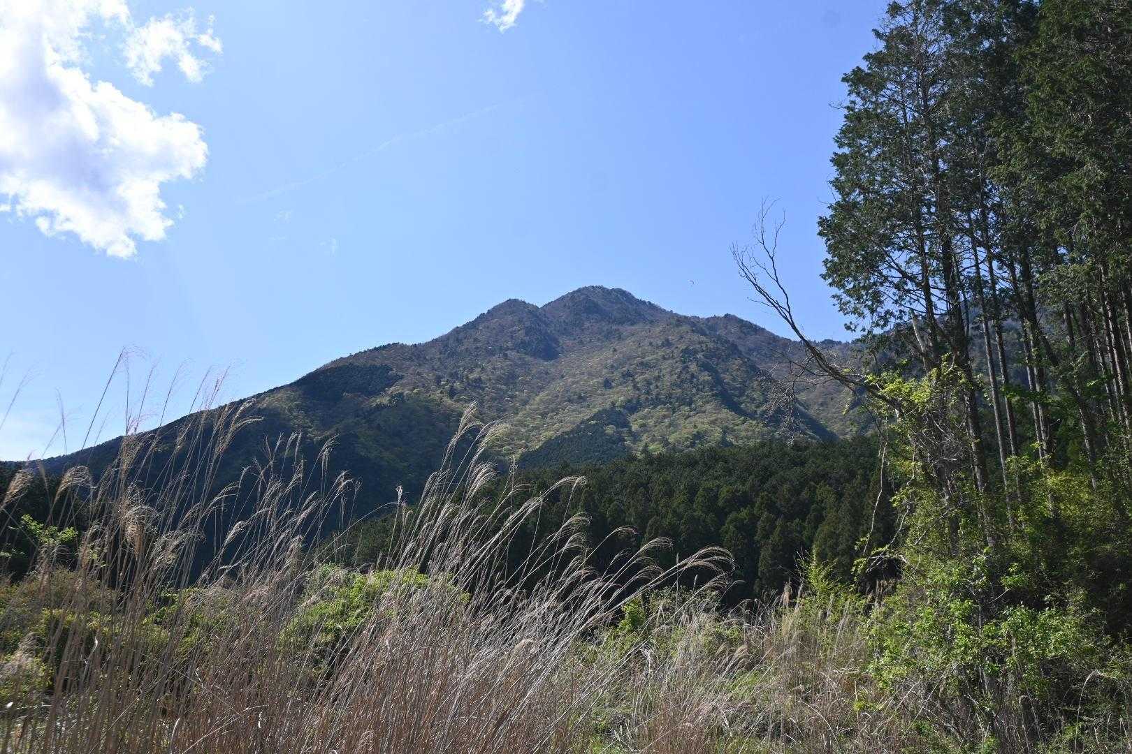 下りて来て毛無山。