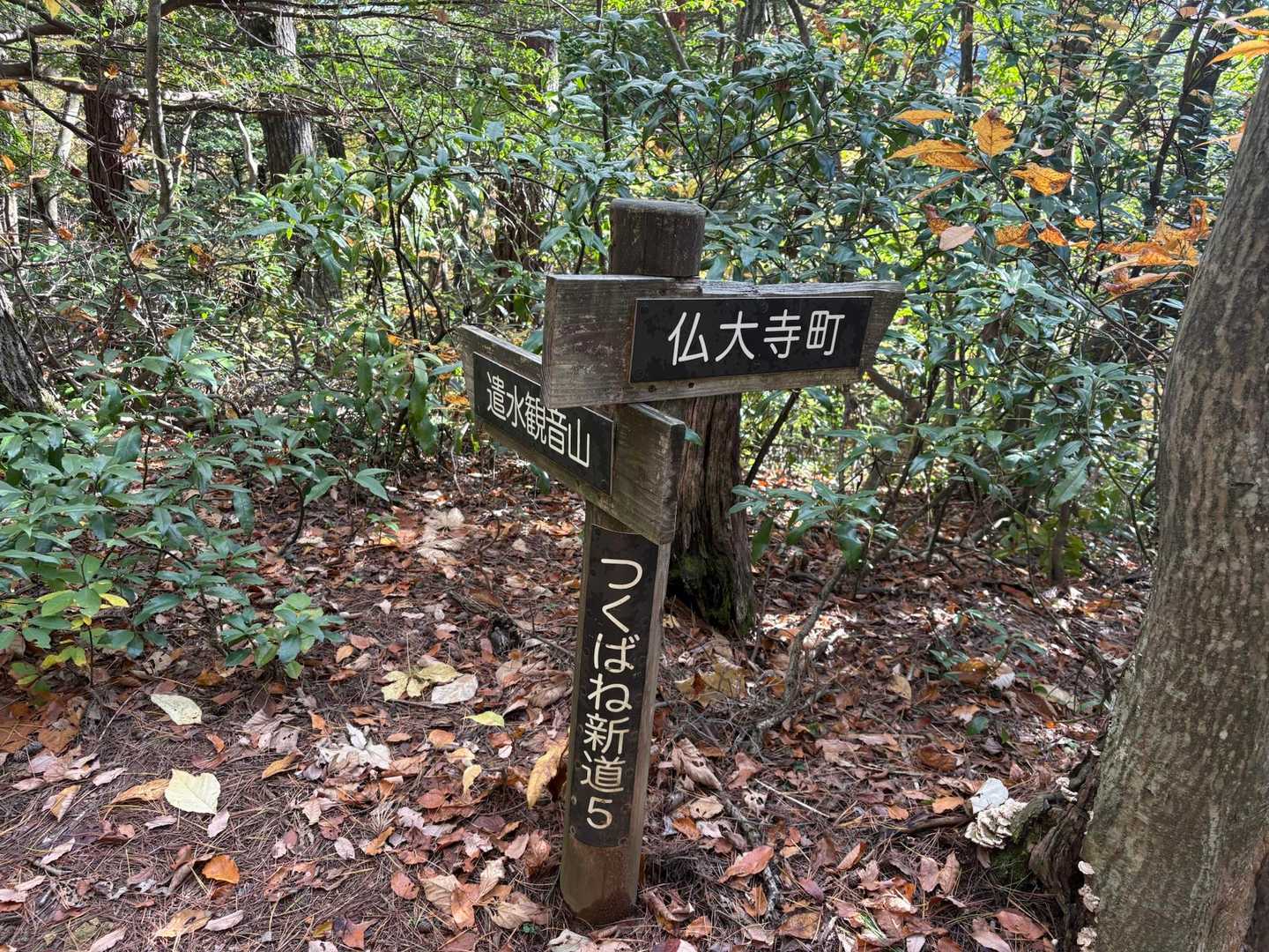 誰にも会わない