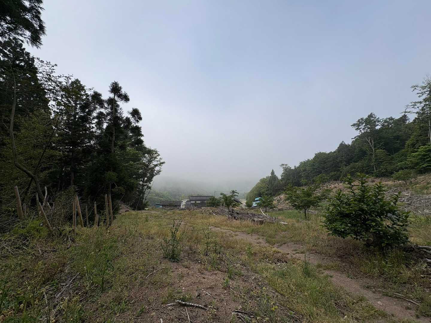 ☀予報に期待です💦