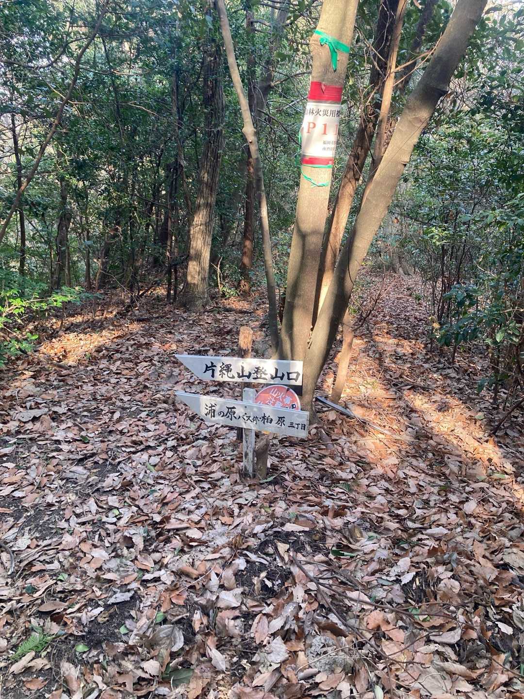 片縄山 往復コースの写真