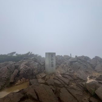眺望は真っ白でしたので、リベンジですね
