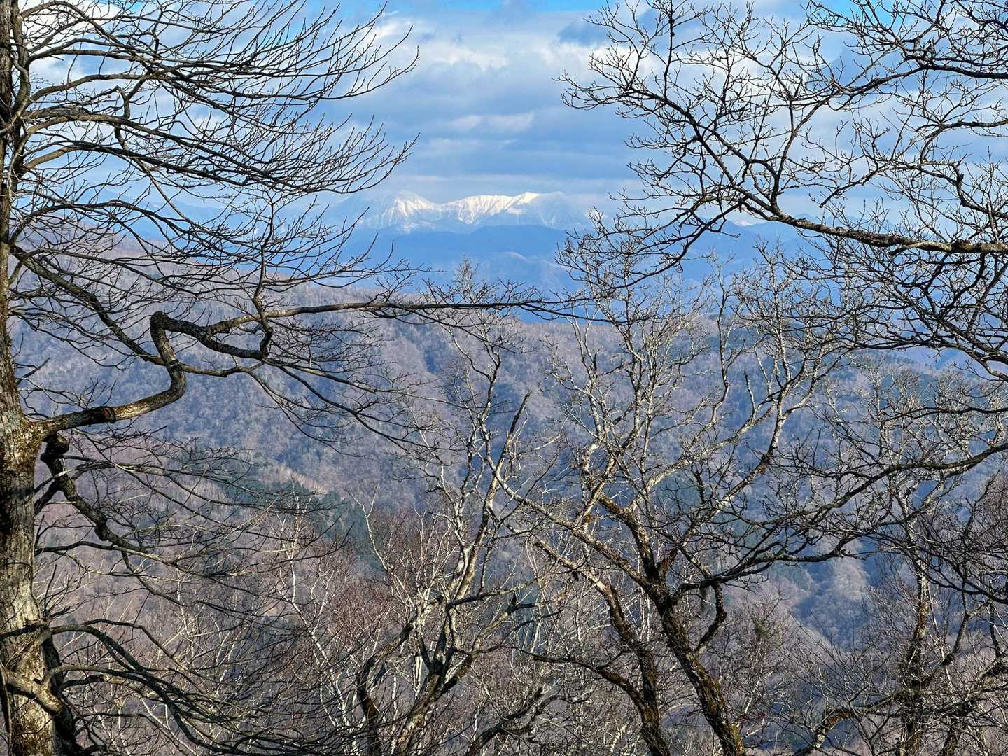 ペテガリ岳かな？
この山だけ見えました