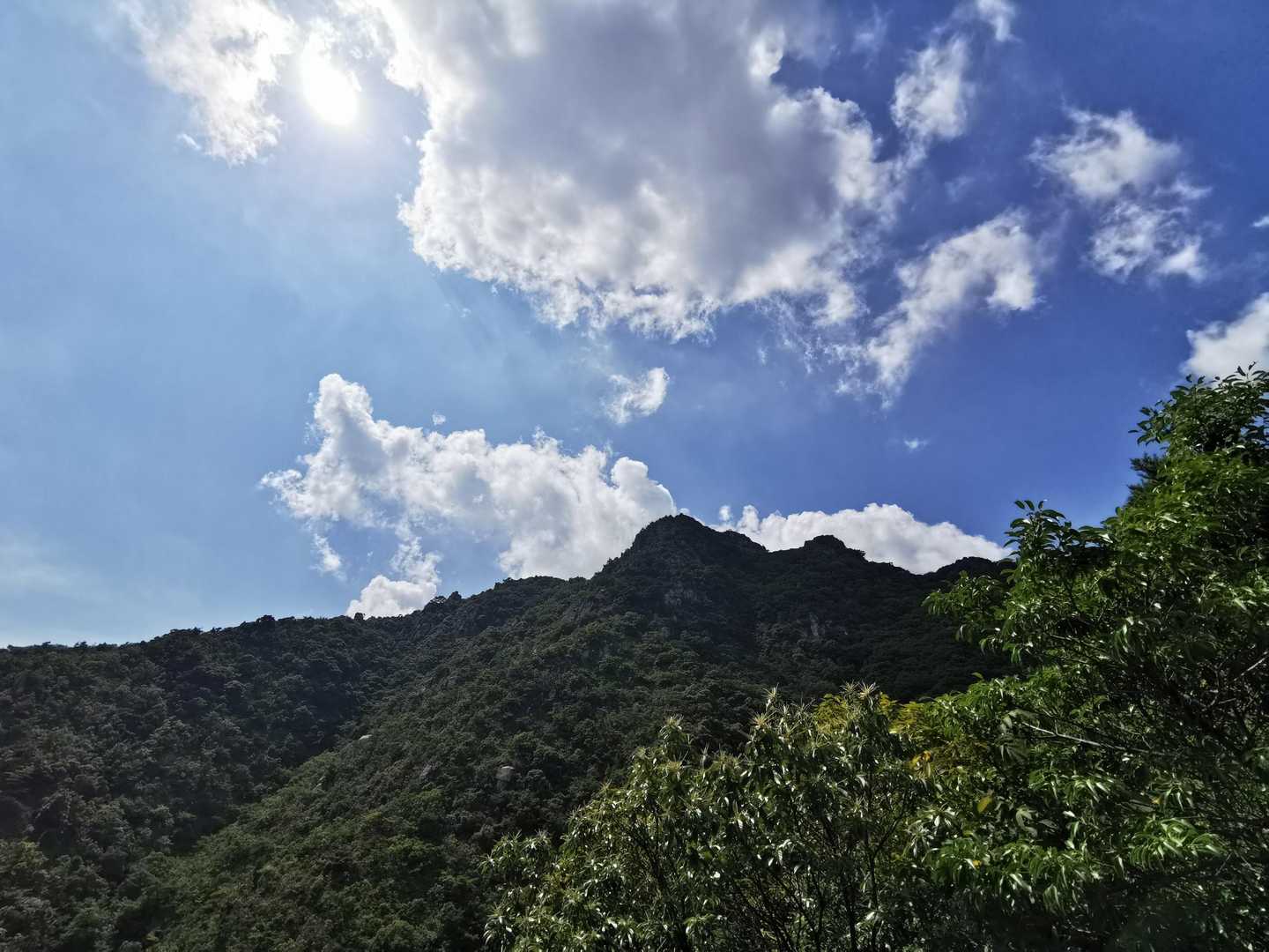 塔之岡登山口-右田ヶ岳 往復コースの写真