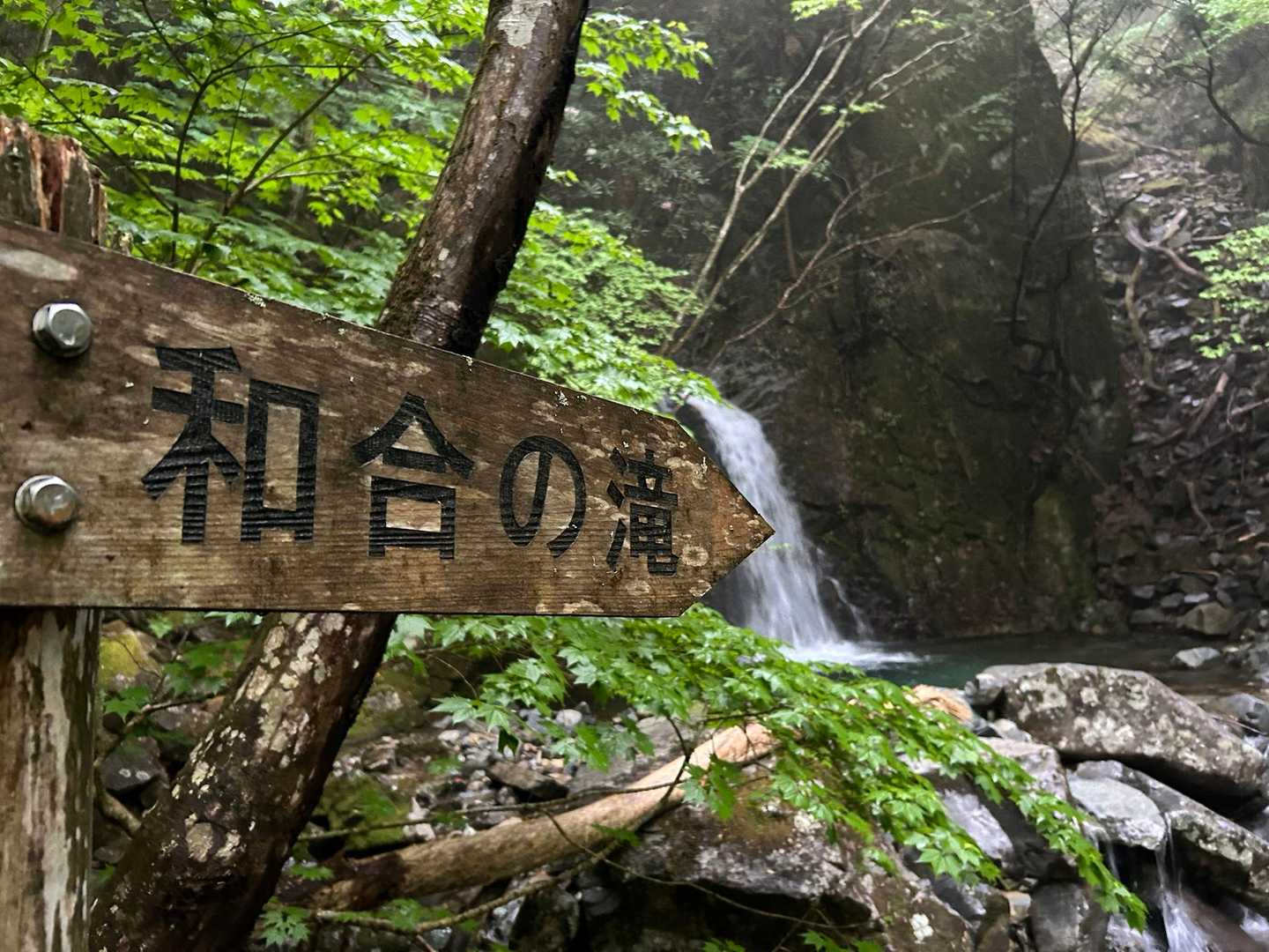 見応えある滝がたくさん