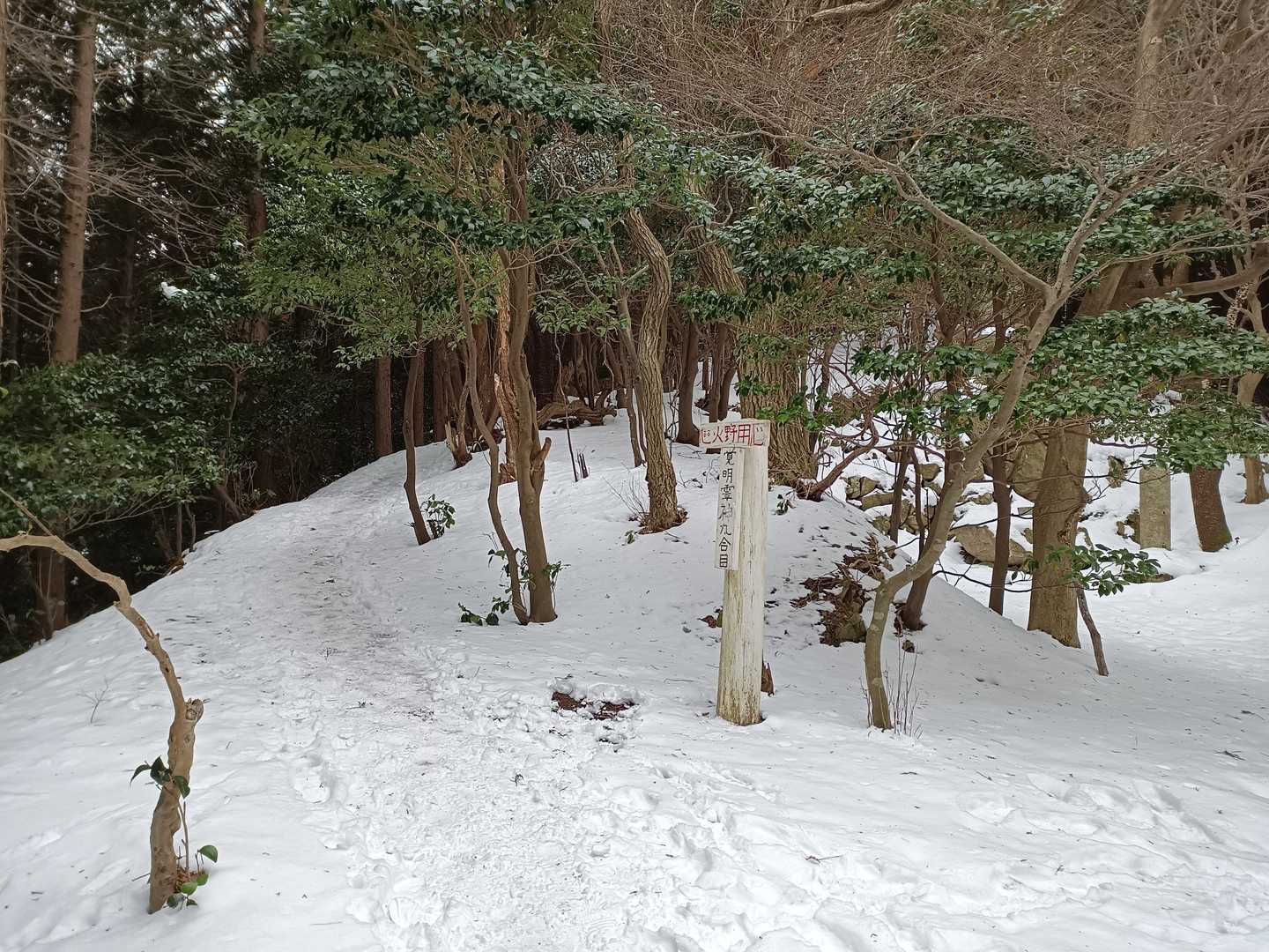 石津御嶽 往復コースの写真