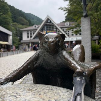 サビーこんにちわわ😊
左のおてての台座？がどんどん伸びてきてるね
成長期かな？台座

行ってくるねー