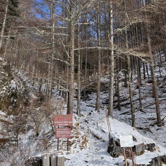 鳥倉登山口
チェンスパで登山開始
