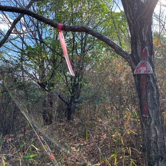 さて、ちょっと休憩🤏