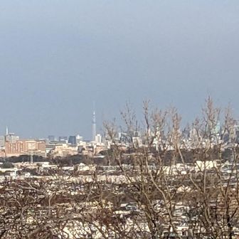 スカイツリーも見えて