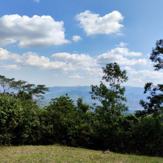 南側　中央奥は、彦岳⛰️のようです　👀