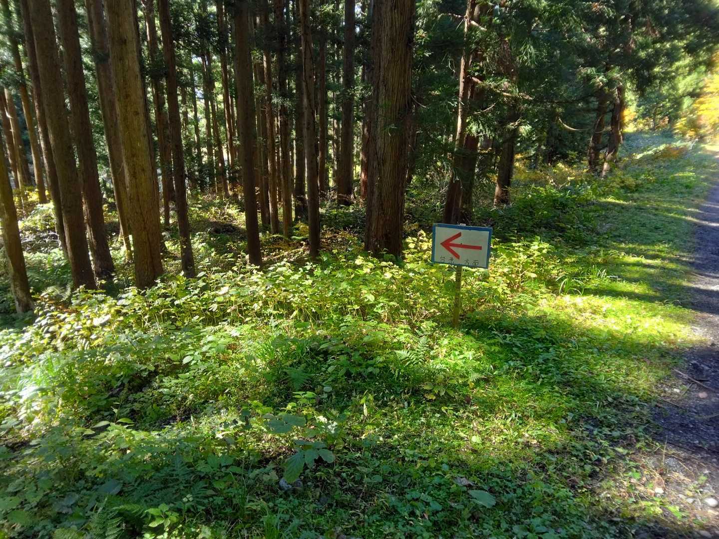 で、この矢印を見つけました❗
が、どこでどう間違ったのか、破線ルートに行ってしまいました〜🤣