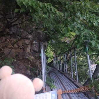 少し道路を歩いて行くと立派な橋の手前道路の左手にこんな橋があって石に「千枚岳」と書かれていて、登山道の入口は橋だと聞いていたので、ここが入口かと思い入ってみましたが少し進んで間違いに気が付き引き返しました