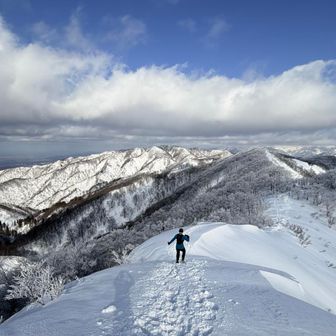 新潟の冬でこれだけ晴れたら充分です☀️