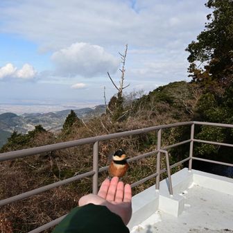 r＊r＊k＊n＊⛰️