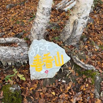 山頂です。