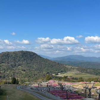 さっき登ってきた茶臼山⛰️