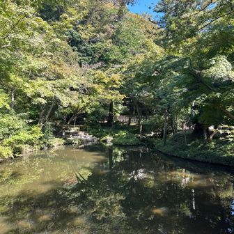 いくつも池があっていいよね。
