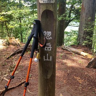 惚岳山（高水三山３座目）