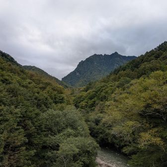 俺…、いつか山登りに行くよ…