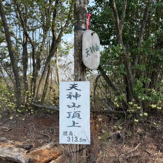 天神山山頂🚩