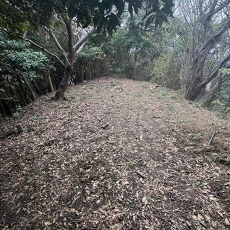 瓦礫があったからここに社があったんだろうな