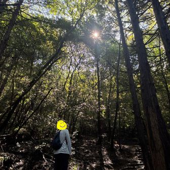 陽の光がいいな〜☀️✨