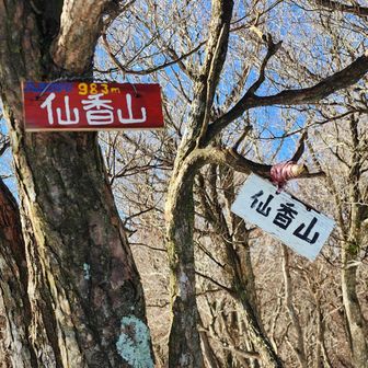 ここから釈迦ヶ岳までこの日一番乗りの責務。ルートファインディング。