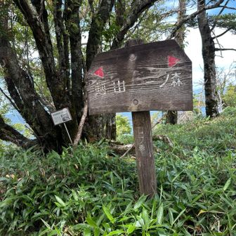 ニノ森山頂です。