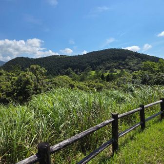 登った甫喜ケ峰　