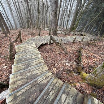 さて下山しよ！
この木の板の階段、はっきり言って危険です！濡れると滑り怪我する可能性があり要注意！滑り止めが欲しいものですが、東京都も考えて欲しいな